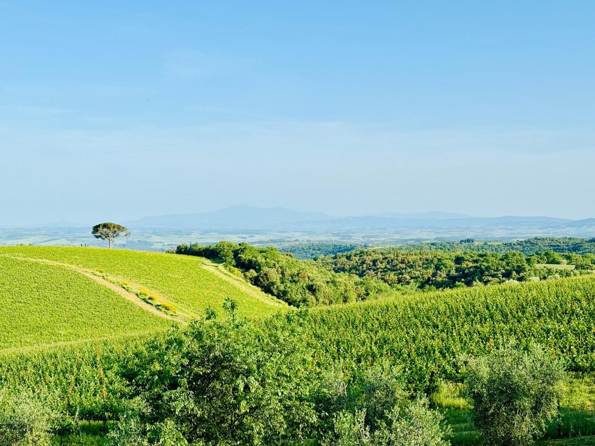 Libertas Tuscan Hideaway San Sano Kültér fotó