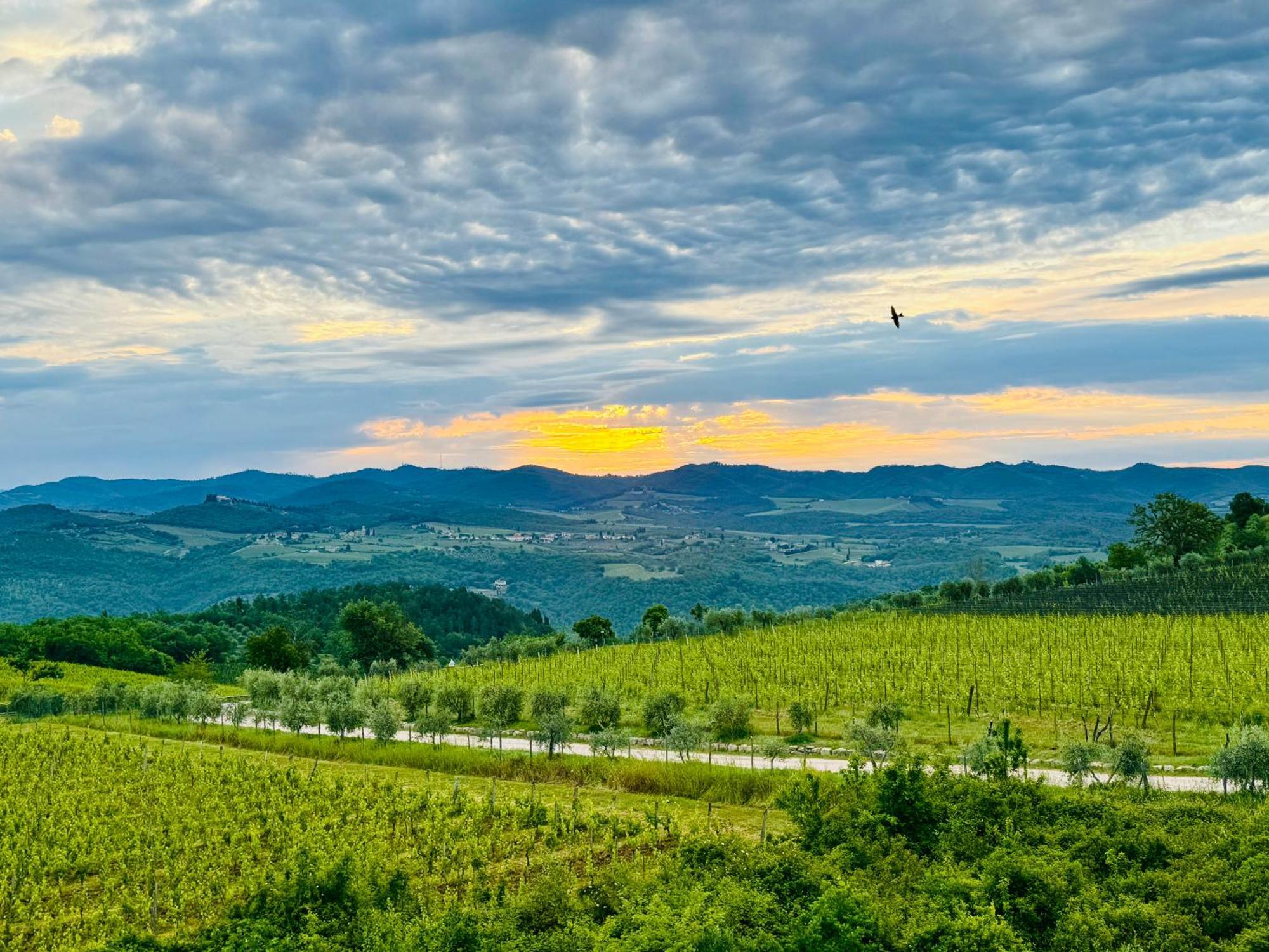 Libertas Tuscan Hideaway San Sano Kültér fotó